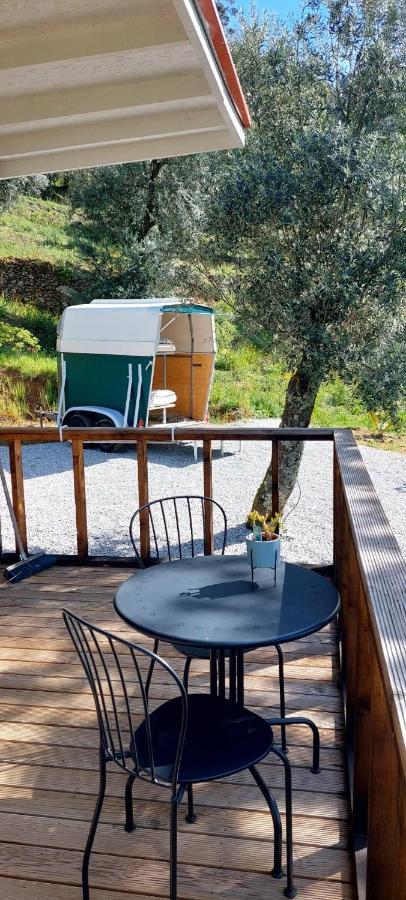 Cabin Quinta Pomar Do Pontido 카베세이라스 드 바스투 외부 사진